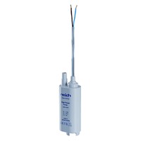 Reich 18L pump