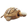 Coconut Nodding Turtle