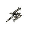 W4 3/4" No. 8 Countersunk Self-Tapping Stainless Steel Screws