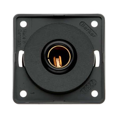 W4 Berker 12V Single Pole Socket - Anthracite