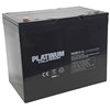Platinum VRLA PAGM75-12 Battery