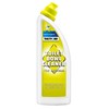 Thetford Toilet Bowl Cleaner 750ml bottle (Order in multiples of 9)