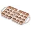 Egg Tray & Carrier Assorted Colours (order in multiples of 12)