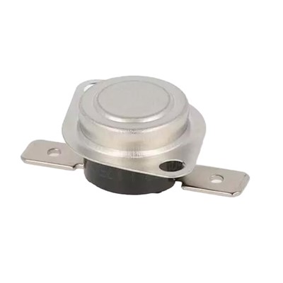 Truma Temperature Limiter