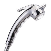 Reich Charisma Adjustable Shower Head