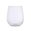Quest Acrylic Stemless glass