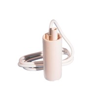 Whale Standard 10LPM 12V Submersible Pump