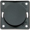 W4 Berker Blanking Plate - Anthracite
