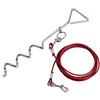 Quest Pet Anchor Including 4M Lead