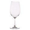 Quest Acrylic Wine glass