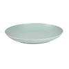 Large Plate / Dish (25cm)
