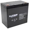 Platinum VRLA PAGM55-12 Battery