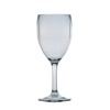 Quest Acrylic Wine glass