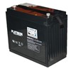 Platinum VRLA PAGM145-12 Battery