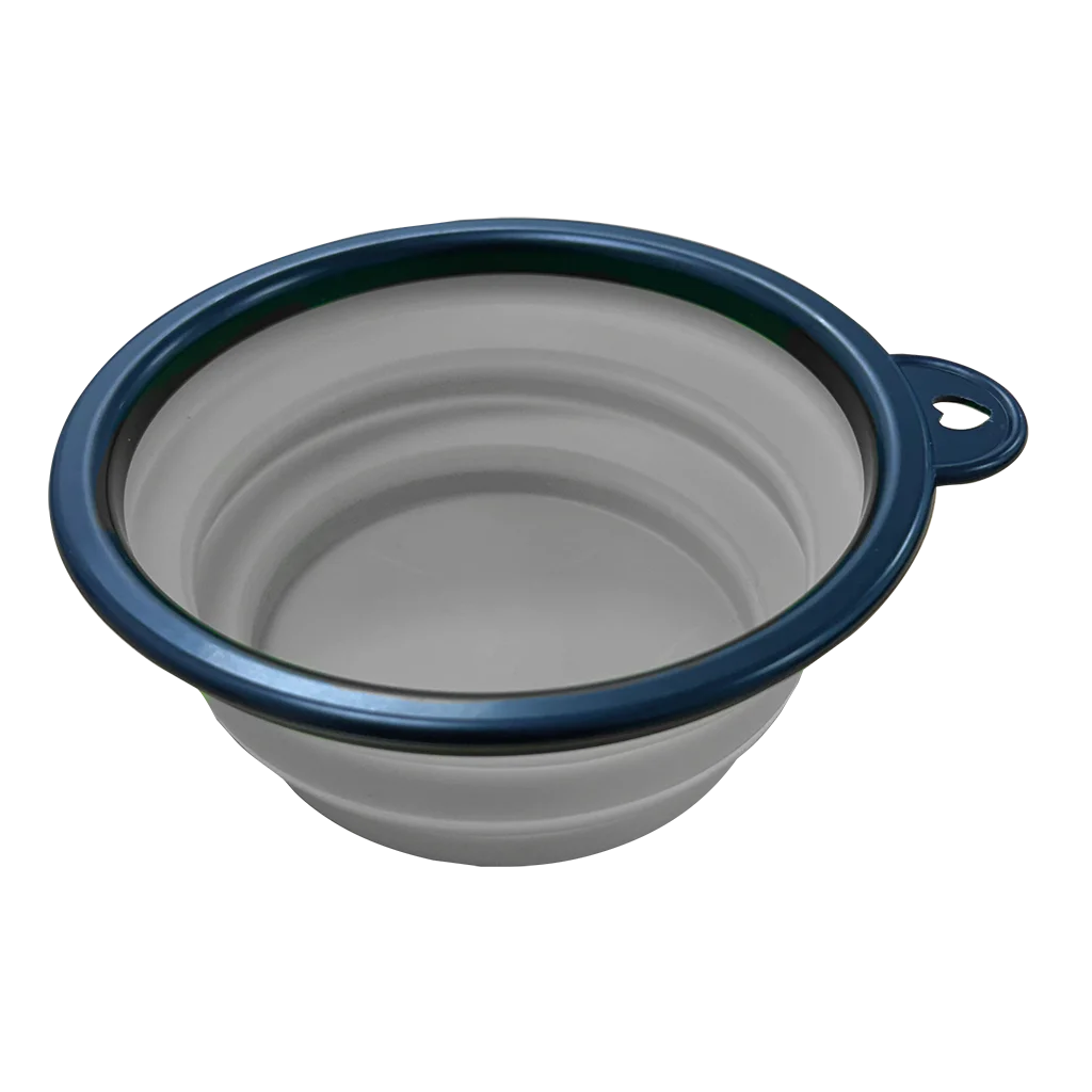 Quest Collapsable Pet Bowl