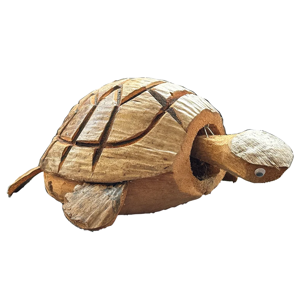 Coconut Nodding Turtle - Image 2
