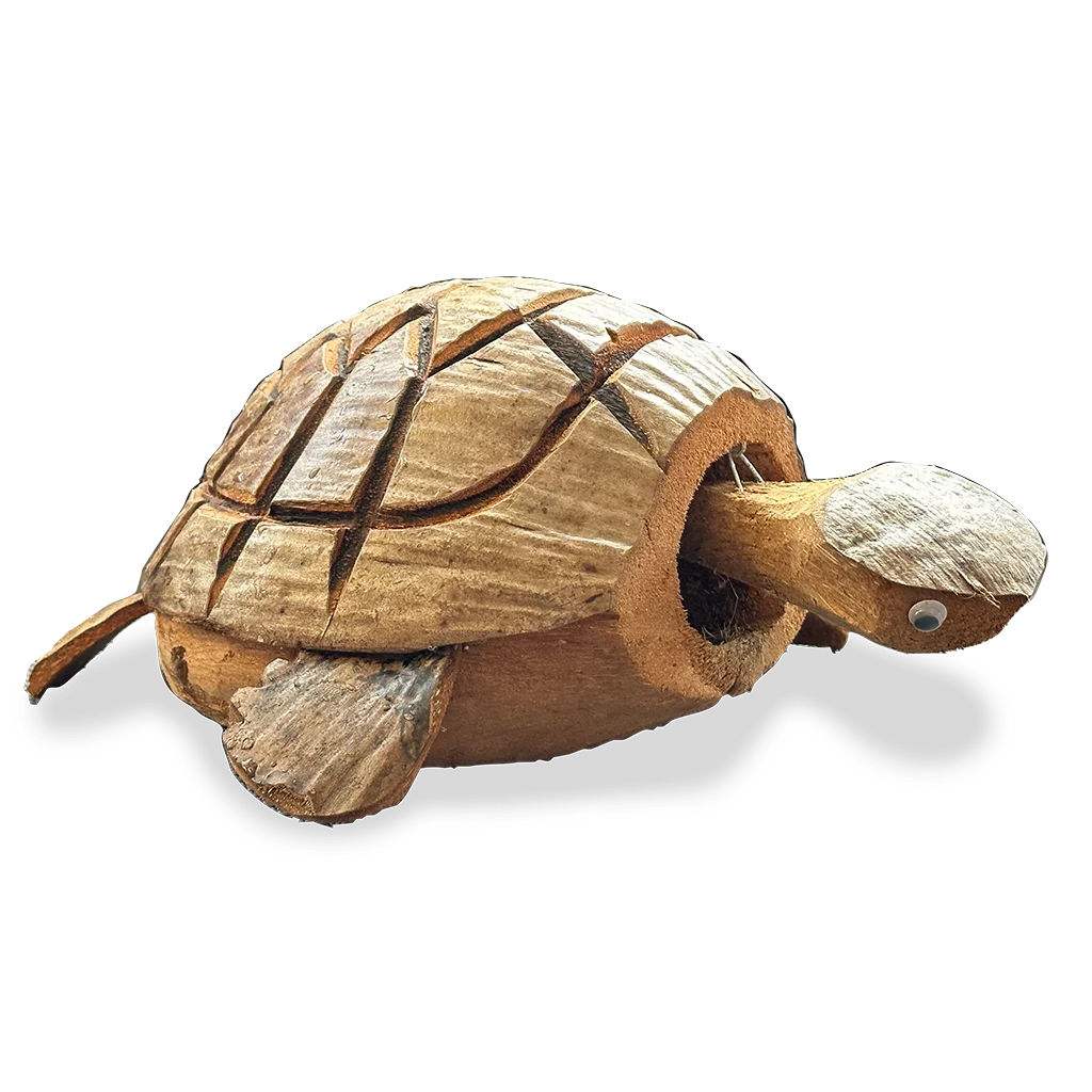Coconut Nodding Turtle