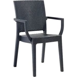 Siena Chair with Arms